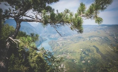 Top 5 razloga da posjetite Taru - Staze i vidikovci koje ćete pamtiti do kraja života