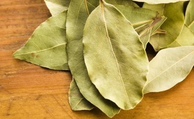 Trik koji su koristile naše bake: Evo zašto treba da stavite lovorov list u mašinu za veš