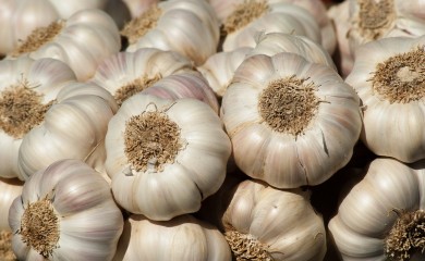 Bijeli luk bi trebalo često koristiti i zimi, a evo i zašto…