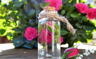 Poznato po svojim brojnim svojstvima: Ovo su blagodeti ulja ruže