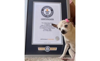 “Jako će nam nedostajati” Nakon 22 godine života uginuo najstariji pas na svijetu