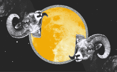 Ova tri znaka su rođeni buntovnici, ne podnose nikakva pravila ponašanja