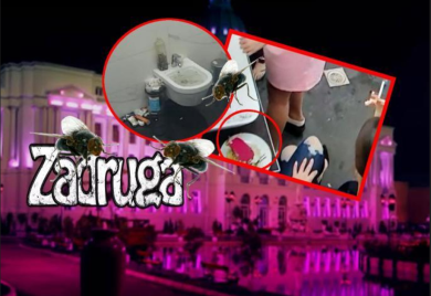 "NIJE SE KUPALA 3 dana, ostavlja TAMPONE svuda oko sebe!" Aljkavost zadrugarke sasvim slučajno je otkrivena!