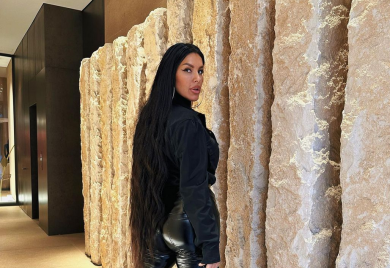 OVO JE DUGO KRILA OD JAVNOSTI: Evo šta je radila Seka Aleksić prije nego što se latila mikrofona