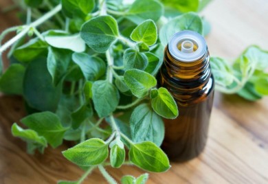 Origano liječi prehladu