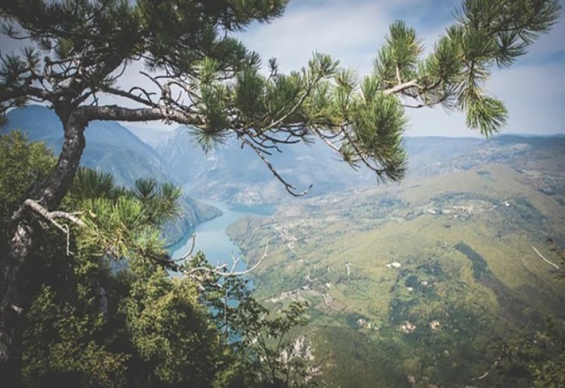 Top 5 razloga da posjetite Taru - Staze i vidikovci koje ćete pamtiti do kraja života