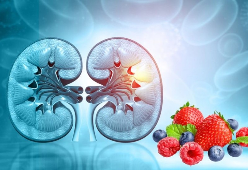 Najbolje voće za bubrežne bolesnike, bez kalijuma i fosfora