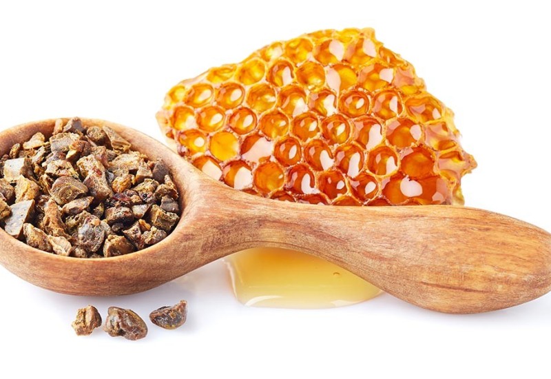 Moć propolisa za zdravlje cijelog organizma