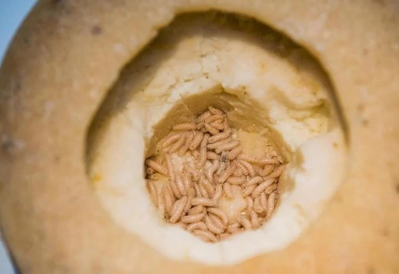 Ovaj sir proglašen je najopasnijim na svijetu jer sadrži crve, zabranjeno ga je prodavati