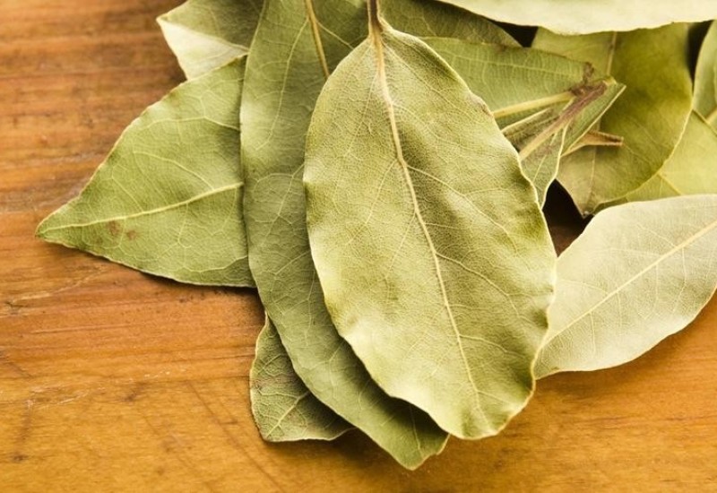 Trik koji su koristile naše bake: Evo zašto treba da stavite lovorov list u mašinu za veš