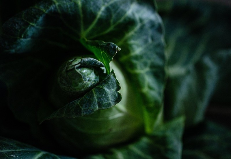 Sok od kupusa riznica vitamina C, a rješava šest tegoba