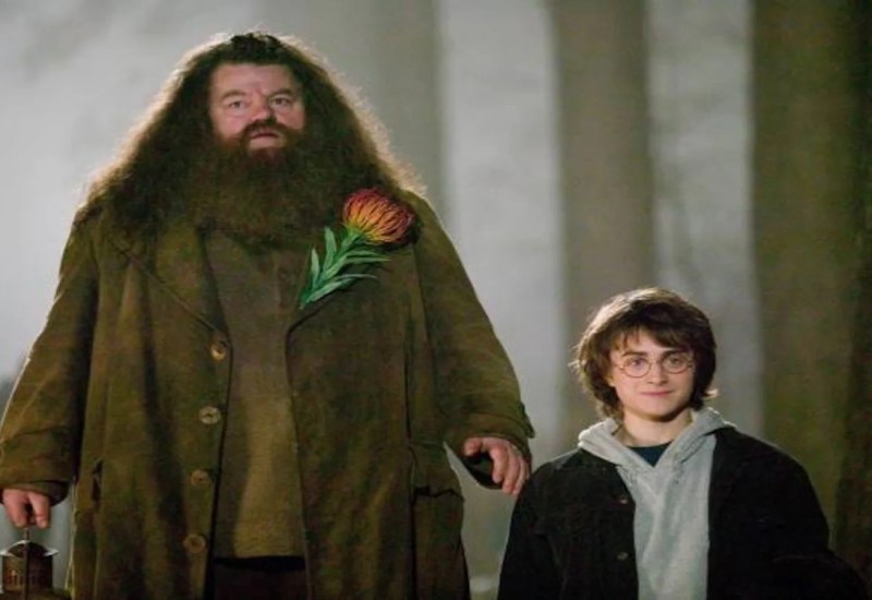 PRETUŽNA SUDBINA SIMPATIČNOG DIVA IZ HARI POTERA: Jedva se kretao, živio u iznajmljenoj štali!