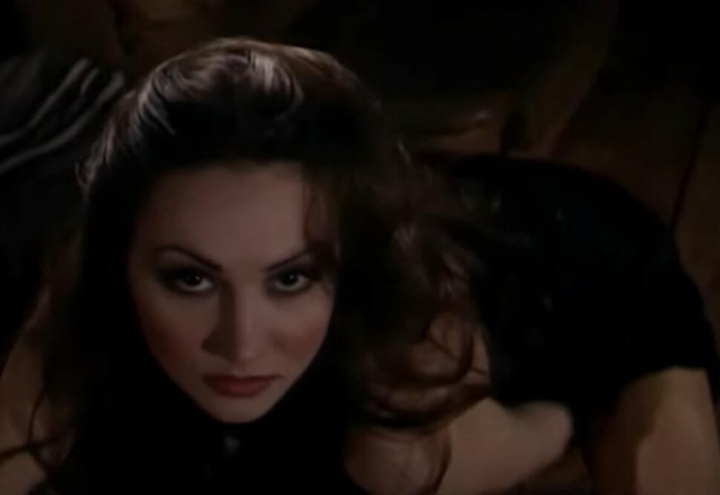 PREPOZNAJETE LI PJEVAČICU SA SLIKE?