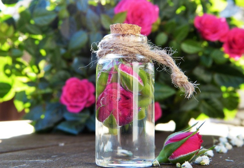 Poznato po svojim brojnim svojstvima: Ovo su blagodeti ulja ruže