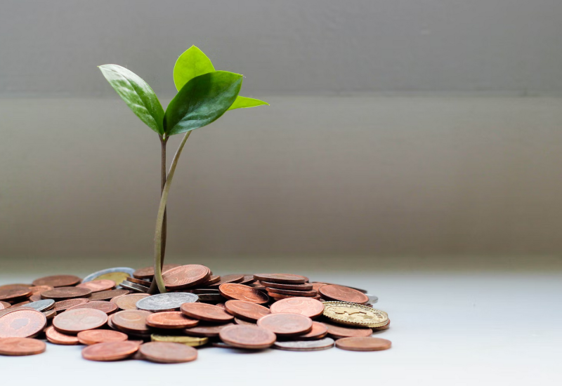 Ne tjera ih “maler”: Tri horoskopska znaka su magnet za novac