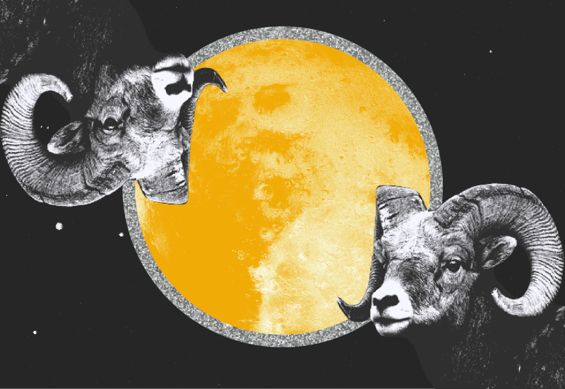 Ova tri znaka su rođeni buntovnici, ne podnose nikakva pravila ponašanja