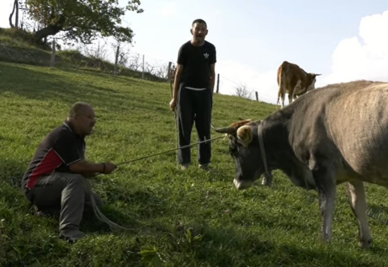 “Zar nisam ja čarobnjak”: Zmaj od Šipova pokazao kako hvata goveda