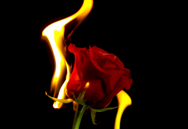 Šokiraće vas: Elitna prostitutka otkrila šta muškarce najviše „pali“ u krevetu